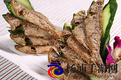 一级e片|一档优质影片推荐大全-1