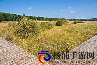 未满十八 色情APP网站软件|青少年网络安全新时代的多方防控之路-2