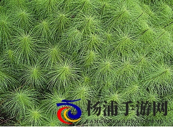 忘记穿内裤被同桌c到高潮|游戏创新引发热议的沉浸体验-3
