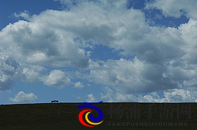 网站你懂我的意思|未来数字时代感知人心的智能平台-2