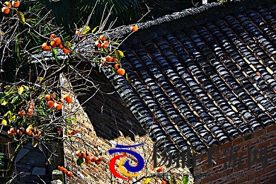 天天遭天天爱|每日不断遭遇酷爱挑战-2