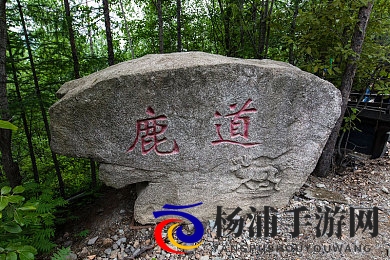 天天操天天干天天射|每日勤奋努力实现梦想-2