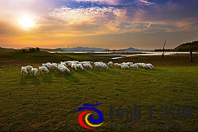 污污污的软件|不纯不净的应用程序推荐-2