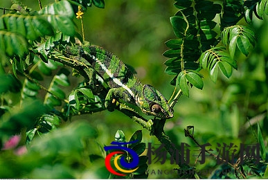 男生将困困放到女生困困里面|创新解谜游戏引领沉浸互动新潮流-2