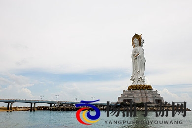 十大黄App|网络隐患危机引发广泛关注-2