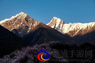 天天射天天干天天爽天天舔天天操天天射|激情无限每日尽享快乐刺激体验-1