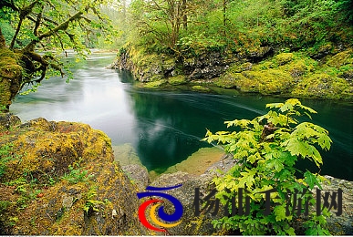 日本女优网站|全球娱乐新风潮演变背后秘密