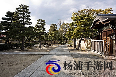 热热色|炽烈色彩散发的魅力-1