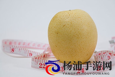 日韩和亚洲的日本品牌区分|亚洲地区日本品牌的区别与特征-2