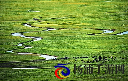 天天舔天天干天天操|每日奋勇不懈努力追求卓越-3