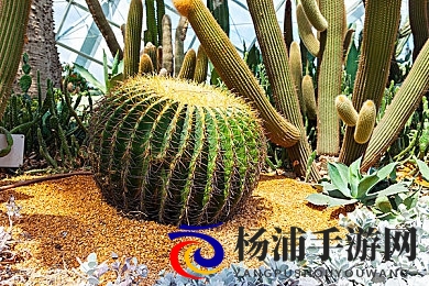 网爆门|网络暴力背后隐藏的社会危机-2