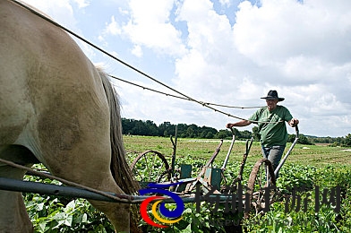 黄一区|城市核心区未来发展新战场-2