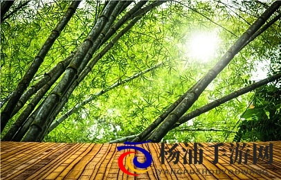 3dXXXx同人XXXx动漫魅魔|三维世界中人气魅力魔幻角色-3