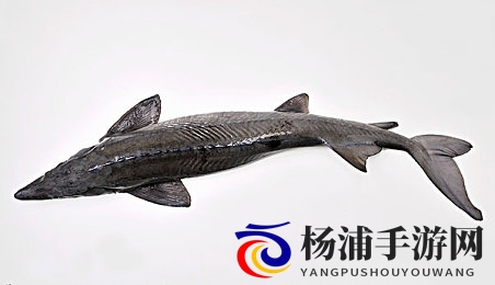 3DXXXx动漫魅魔XXXXx|沉浸式魔幻体验开启未来动画新纪元-2