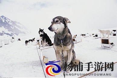 2023黄色软件|2023年成人黄色影音推荐