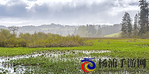 香蕉戳进桃子里|热带水果融合的甜蜜画面-1