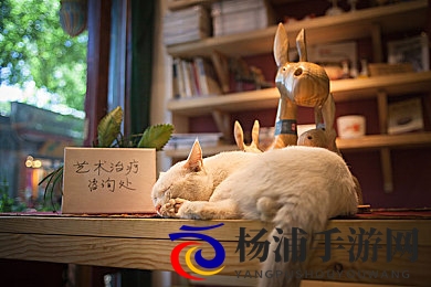 五月丁香之婷婷|春光里华丽少女的笑颜-3