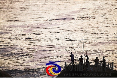 教练在车里要了好几次|教练多次在车内进行不当行为-1