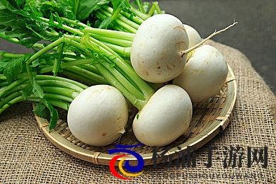 幻小BBwwww仙踪林|梦中童话世界探秘奇幻林海-3