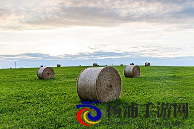 毛笔挠尿孔~快尿了|用毛笔刺激尿意快来放松-1