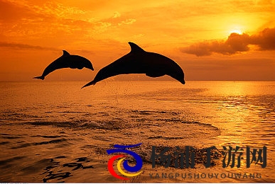 被流氓老医生摸到高潮|遭遇不良医师的意外刺激体验-1