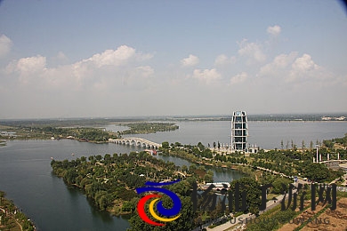 冰块和棉签的用法小黄花|小技巧冰冻物品清洁工艺-1