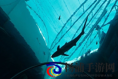 艳女软件|迷人女性应用程序娱乐推荐-2