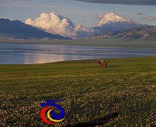 揉 啊 嗯~出水了动漫|创新动画玩法引领游戏新潮流-1