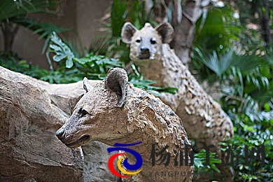 香港眼镜摄影师kk哥|电竞摄影新纪元视觉艺术引领行业潮流-2