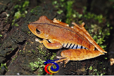 天天干天天操天天爽|每日努力每天挑战始终激奋-3