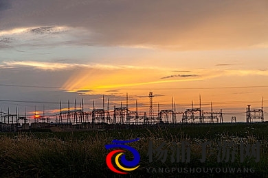 丁香婷婷五月|春日悠然时光的欢乐盛宴-2