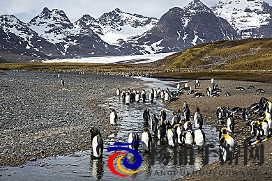 钟欣潼无码囗交|钟欣潼高清无修表现精彩-2