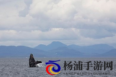 阿娇陈冠希囗交69|虚拟内容争议引发社会思考-3