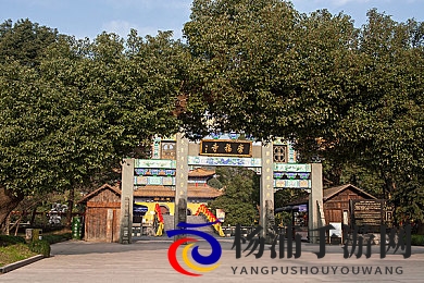 小优为爱而生为爱而|小优追求真挚情感一直向前-1