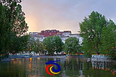 罗宾为乔巴排毒的漫画|海贼女医帮助伙伴净化的插画-2