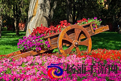 火辣辣福利APP|创新平台引领数字娱乐新潮流-2