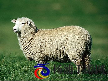 不如跳舞沙滩三个小男孩漫画|三个少年在海滩伴舞的趣味漫画-2