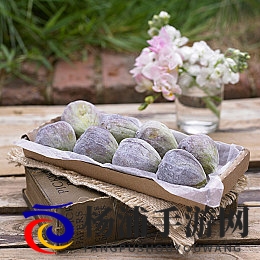 黑巨茎大战欧洲美女|暗黑雄壮男士挑战欧美佳人-2