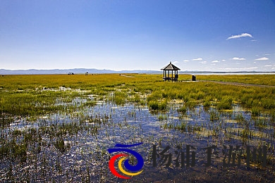 香蕉插入蜜桃|热带果实融合带来别样风味-1