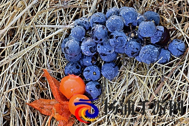 天堂一区二区三区|美好境界的全面体验-2