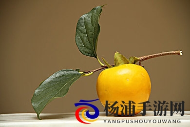 婷婷五月天丁香花|少女春光绽放繁花似锦-1