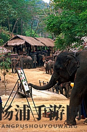 杨思敏版新梅瓶1 5集演员表|新梅瓶一五集主要演员介绍-2