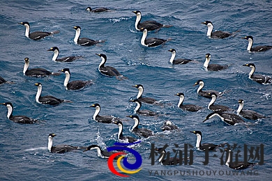 思敏1到5集电视剧|剧情精彩引爆关注团队努力成就佳作-2