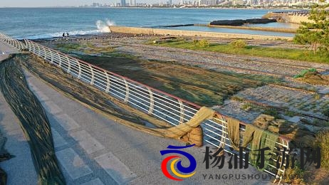 不知火舞和三个|火影中的女战士与三位伙伴的故事-1