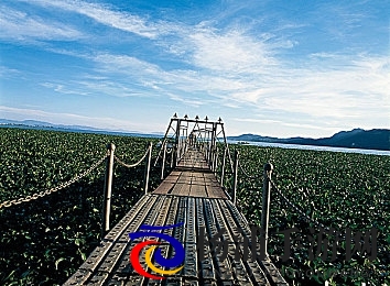 毛笔挠尿孔~快尿了|创新检测技术助力全民健康迈进-3