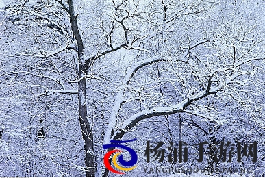 火影18十变志版手游|全新忍者战斗体验震撼来袭-2