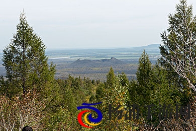 你懂的网|内容创新驱动未来互联网新势力