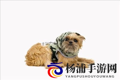 性欧美Ⅴvideos另类护士|欧美风格奇特护理专区-2