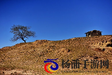 打扑克又叫又痛|扑克魅力揭示激烈竞争背后的心理博弈-1