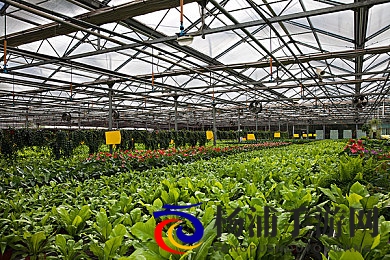 国产视频第一页|中国影视未来科技驱动创新崛起-3